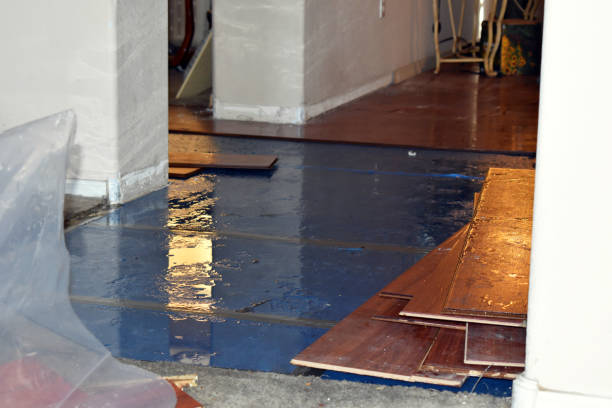Professional Water Damage Restoration technician working in Waverly, WA